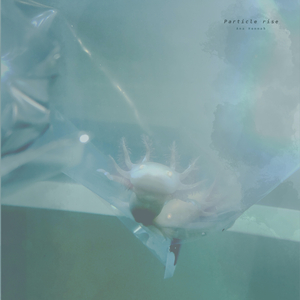 正太炼铜免费平台下载
